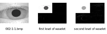 Figure 1: From left to right, original image, image compressed by first level of wavelet, image compressed by the second level of wavelet