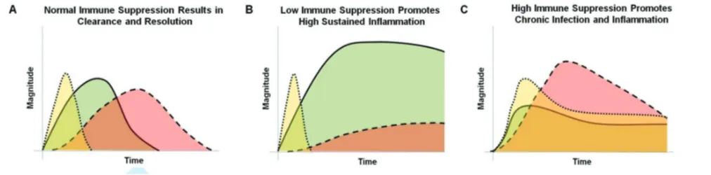 Figure 1. Normal immune responses depend on appropriate levels of immune suppression. This schematic depicts three potential out-comes of an infection and the resulting inflammatory responses on the basis of varying the level and dynamics of immune suppres
