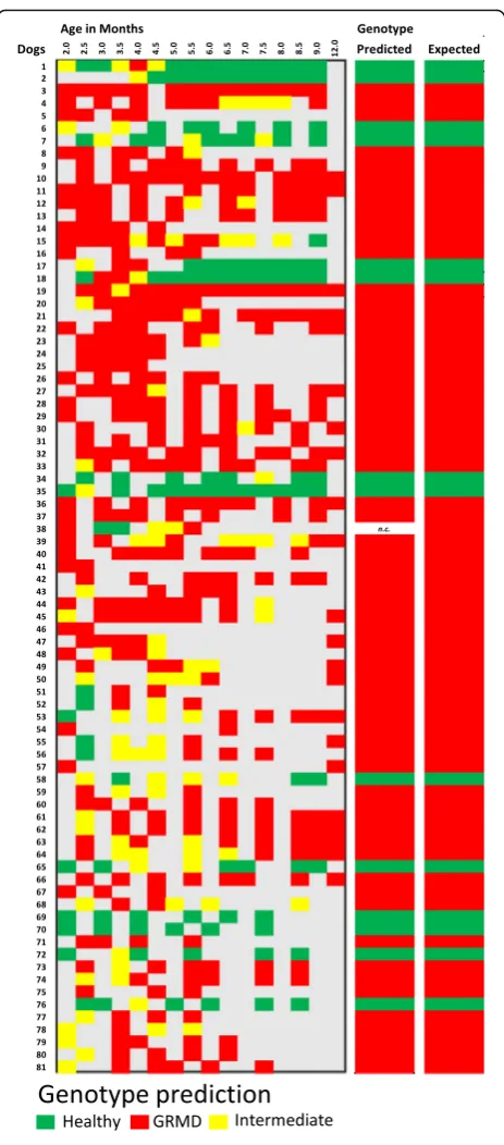 Fig. 5 LDA Model 3 as a tool for evaluating the effects ofFor a more comprehensive representation, the projection of the age indays axe on the factorial plan was calculated and added as the upperintermediate gait (immunosuppressive treatment on gait in GRM