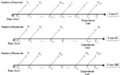 Figure 1:   Schematic illustration of generalized Type-II PHCS 