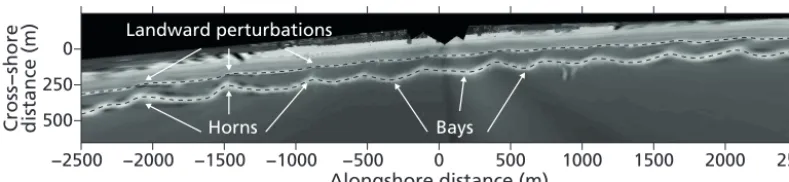 Figure 2. Example of a time-exposure image from the Gold Coast, Australia, showing the Idt coupling type, with a crescentic outer bar anda terraced inner bar with landward perturbations coupled to the alongshore positions of the outer-bar horns