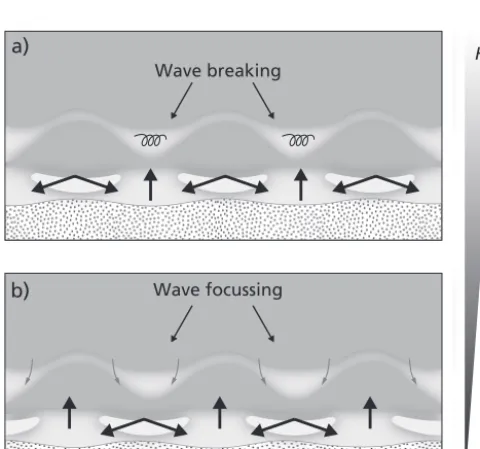 Figure 6. Examples of observed types of morphological coupling between the inner and outer barlines; low-tide time-exposure plan-viewimages of in-phase images with (a) an inner terrace and (b) inner rips, out-of-phase coupling with (c) an inner terrace and