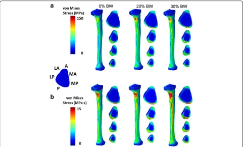 Table 2 Mean and standard deviation of model-predicted peaktibial von Mises stresses during running without a load (0%), orwith an additional load of 20% or 30% of body weight (BW) (N = 4)