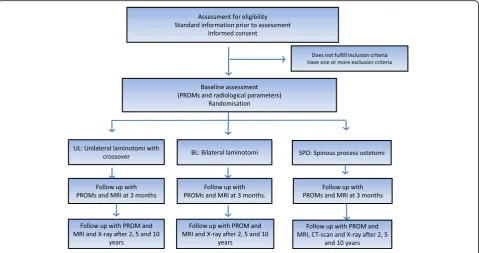Fig. 1 Patient flow through the trial. (PROM: Patient Reported Outcome Measures)