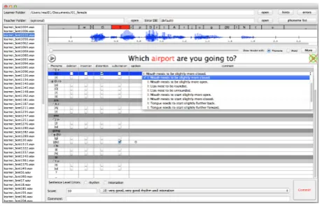 Figure 2: Screenshot of the Annotation Tool