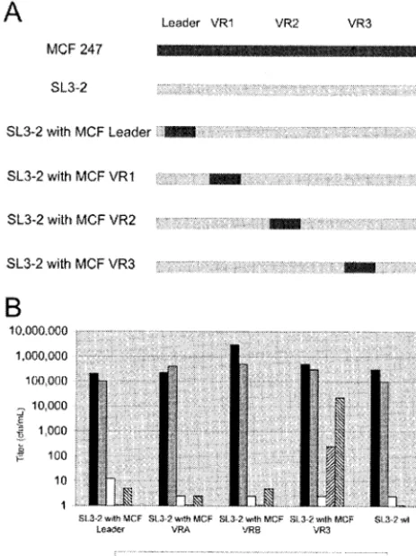 FIG. 3. Tropism and interference properties of SL3-2–MCF 247chimeras on murine and human cells