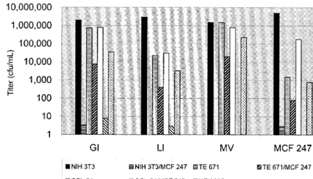 FIG. 5. Tropism and interference properties of SL3-2 VR3 mutants. Titers of three SL3-2 mutants and an MCF 247 envelope-expressing vectoron NIH 3T3, CCL-64, and TE 671 cells that did or did not express MCF 247 (to assess the interference properties of the mutants in different cell