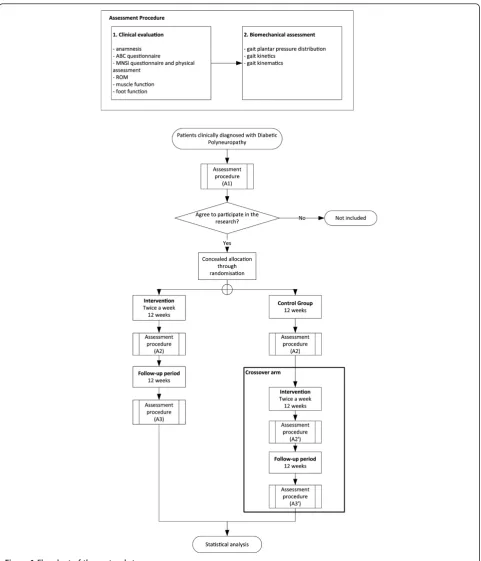 Figure 1 Flowchart of the protocol steps.