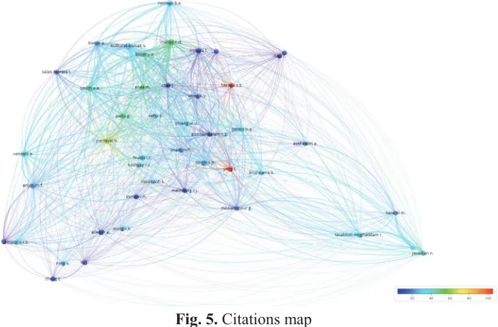 Fig. 5. Citations map 