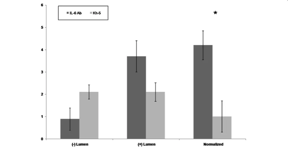 Figure 3 Fiber diameter histogram of mdx mice after 4 weeks of IL-6r mAb or control (Kh-5) treatment