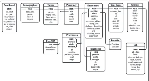 Figure 1 Virtual Data Warehouse data elements.