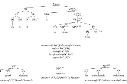 Figure 4: Extracted Grammar for “The function of a gated channel is to release particles from the endoplasmic reticulum”.Variable names have been abbreviated and the KBGen tuple notation converted to terms so as to ﬁt the input format expected byour surface realiser.