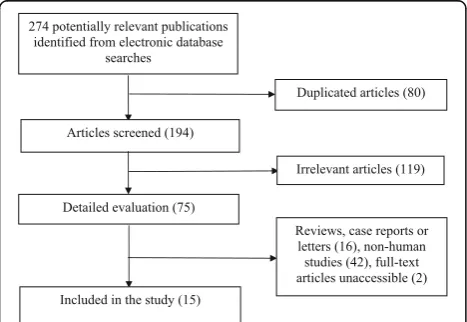 Fig. 1 Flow chart for the identification of the included studies
