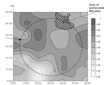 Fig. 2. An example of spatial distribution of soil density (�, g cm–3) and the position of the water filtration zone in compacted soil (depth50 cm)