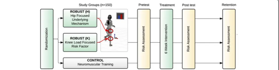 Fig. 1 Flow diagram of study participants randomized into three arms of ROBUST trial: ROBUST (H): Hip-focused biofeedback, ROBUST (K):Knee-focused biofeedback, and CONTROL: Sham biofeedback