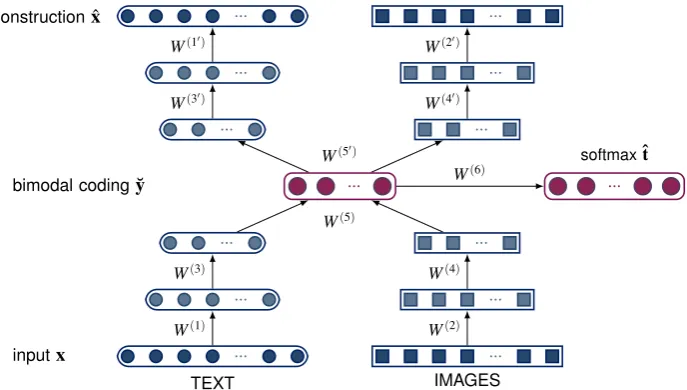 Figure 1: Stacked autoencoder trained with semi-supervised objective. Input to the model are single-word vector representations obtained from text and images