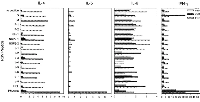 FIG. 5. CD4�were isolated 5 days after challenge and stimulated with a panel of I-Erespond to a diverse array of I-E T cells from vvGs-immunized mice respond primarily to a single peptide, whereas CD4� T cells from FI-RSV-immunized miced-restricted peptide
