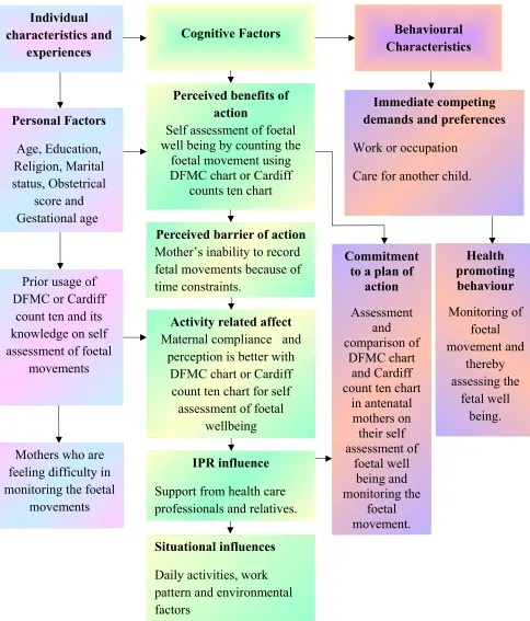 Figure 1.1 Modified Pender’s health promotion model to assess the effectiveness of