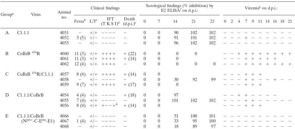 TABLE 2. Characterization of clinical samples