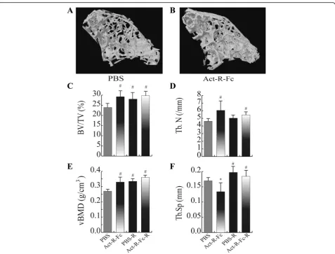 Fig. 2 Reconstructed 3D images of the 2(vBMD) were increased while (running did not result in further beneficial effect