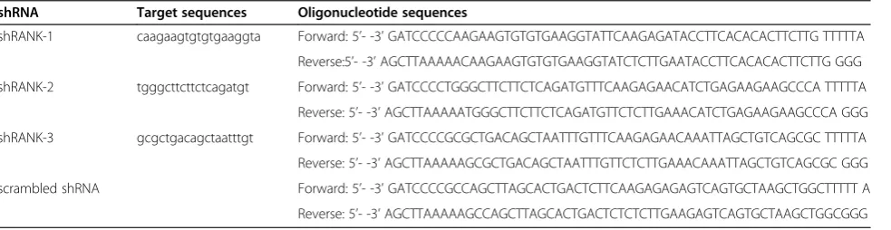 Figure 1 CD14 (A) and CD34 (B) immunohistochemistry of isolated bone marrow macrophages (BMMs).