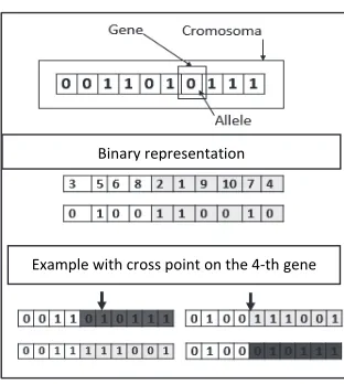 Fig. 4. Chromosome, genes, and 