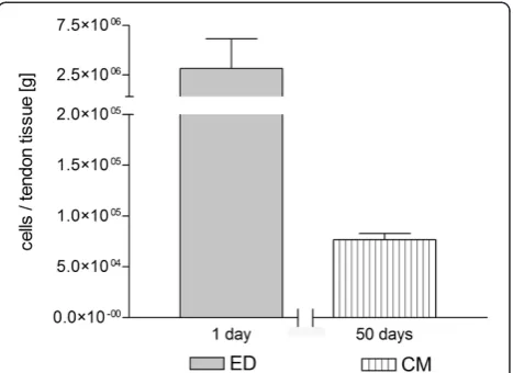 Figure 1 Yield of cells. Cell yield after both isolation methods andnormalized to 1 g of native tendon tissue