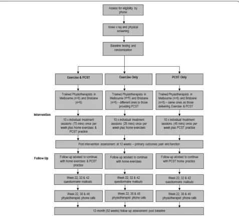Figure 1 Diagram of study protocol.