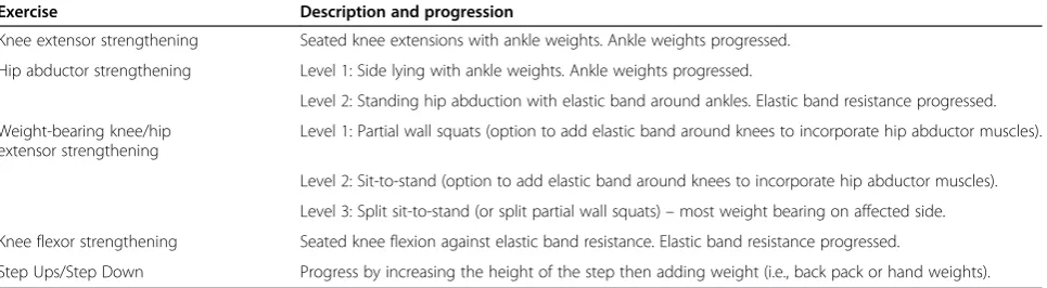 Table 1 Description of the exercise program