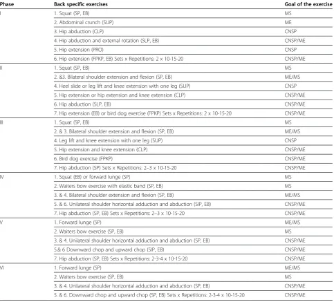 Table 1 Back-specific exercises program