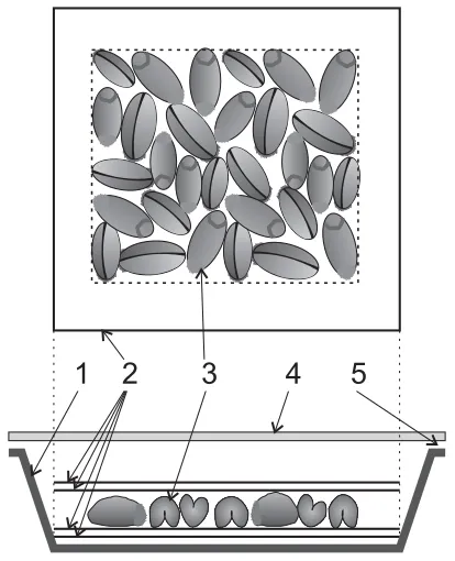Fig. 1. Scheme a set used in the laboratory test for sprouting ofwheat grain: 1- plastic tray, 2 - layers of filter blotting paper (2+2),3 - monolayer formed with grains, 4 - glass plate, 5 - gap for ven-tilation.
