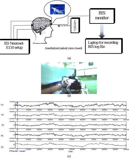 Fig. 2. Data acquisition protocol. (a) Block diagram of data acquiring systems. (b) A real image of a patient  (c)  during surgery under visual stimulation