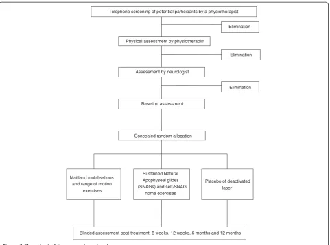 Figure 1 Flow chart of the research protocol.