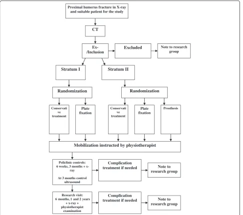 Figure 1 Study flow. Stratum I for 2 part fractures, Stratum II for 3 and 4 part fractures.