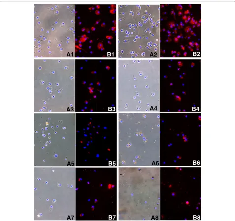 Fig. 3 Phase-contrast microscopy. Representative images of cells stimulated by different metals (0.1 mM)