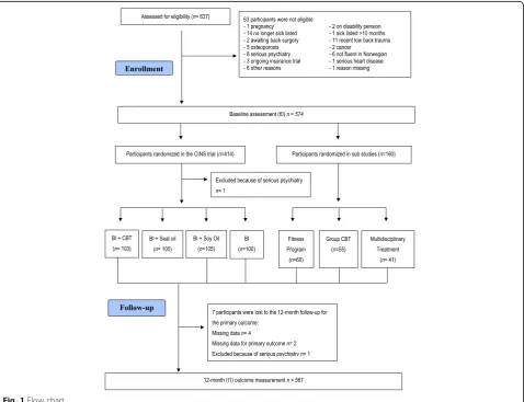 Fig. 1 Flow chart