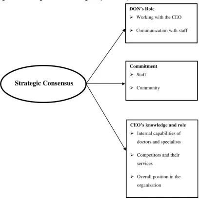 Figure 5.4 Strategic consensus in regional private hospitals and its influences  
