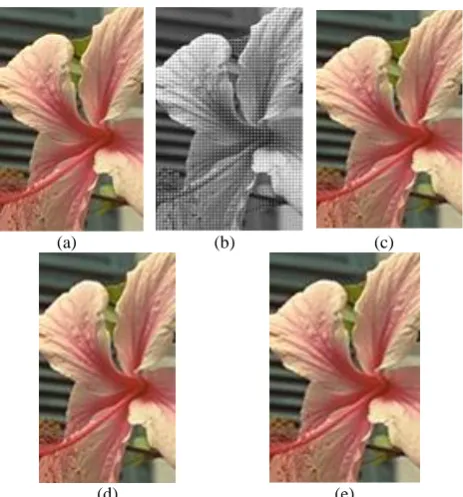 Figure 5. Experimental results: (a) original image, (b) Bayer-patterned CFA image, (c) demosaicking by Luo et al.’s method, (d) demosaicking by Wang et al.’s method, and (e) demosaicking by the proposed algorithm  