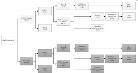 Fig. 3 Flowchart of participation, referral and detection within the new hrHPV-based screening programme, 2017 cohort