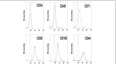 Figure 1 Identification of the isolated human umbilical cord MSCs. MSCs (3rd passage) exhibited negative for CD45 and CD34, weak positivefor CD71 and positive for CD105, CD44 and CD29 as analyzed by flow cytometry.
