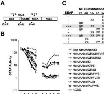 FIG. 4. Impact of adaptive mutations on replication competence of the subgenomic genotype 1a replicon, Htat2ANeo/SI