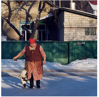 Figure 1: An image from the Flickr8K data set andﬁve human-written descriptions. These descrip-tions vary in the adjectives or prepositional phrasesthat describe the woman (1, 3, 4, 5), incorrect or un-certain identiﬁcation of the cat (1, 3), and includea sentence without a verb (5).