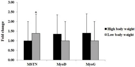 Fig 2 Expression level of selected genes in high and low body weight  Cobb broiler at 37 days of age  