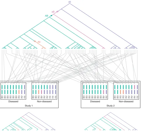 Fig. 1. Schematic of two association studies performed in the same diploid population