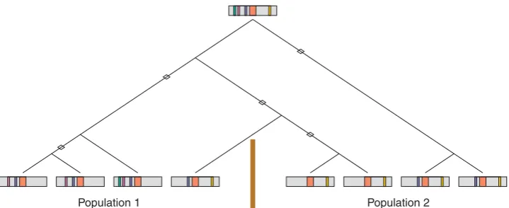 Fig. 6. Schematic of a possible pattern of linkage disequilibrium in two populations. A disease mutation (orange) occurs on an ancestralchromosome that contains several marker alleles (green, purple, blue, and yellow)