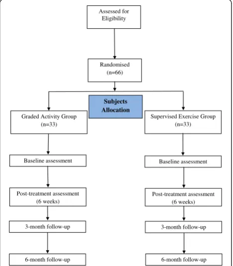 Figure 1 Flow diagram of the study.