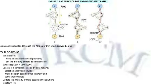 FIGURE 1: ANT BEHAVIOR FOR FINDING SHORTEST PATH 