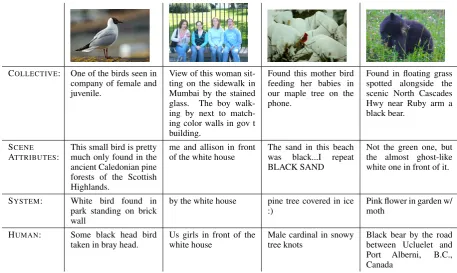 Table 3: Example query images and generated captions.