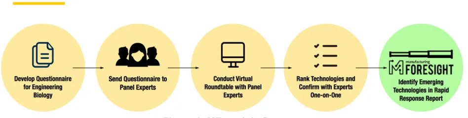 Figure 1: MForesight Process 