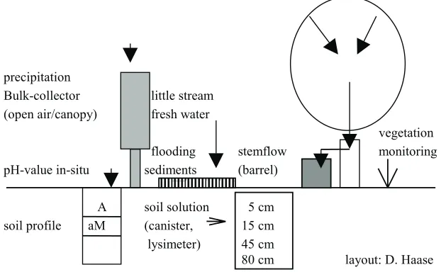 Fig. 2. Station for continiuous measurement in the Southern Leipzig floodplain forest.